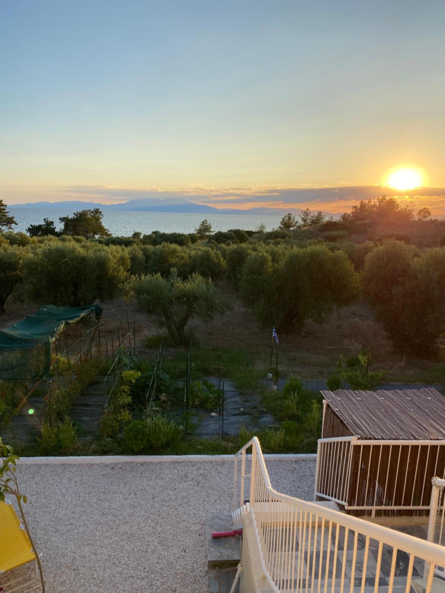 נאה פוטידאה Villa Olymp מראה חיצוני תמונה