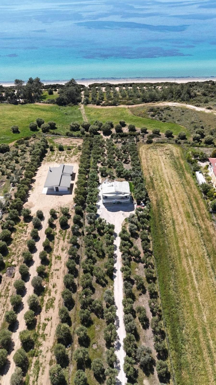 נאה פוטידאה Villa Olymp מראה חיצוני תמונה