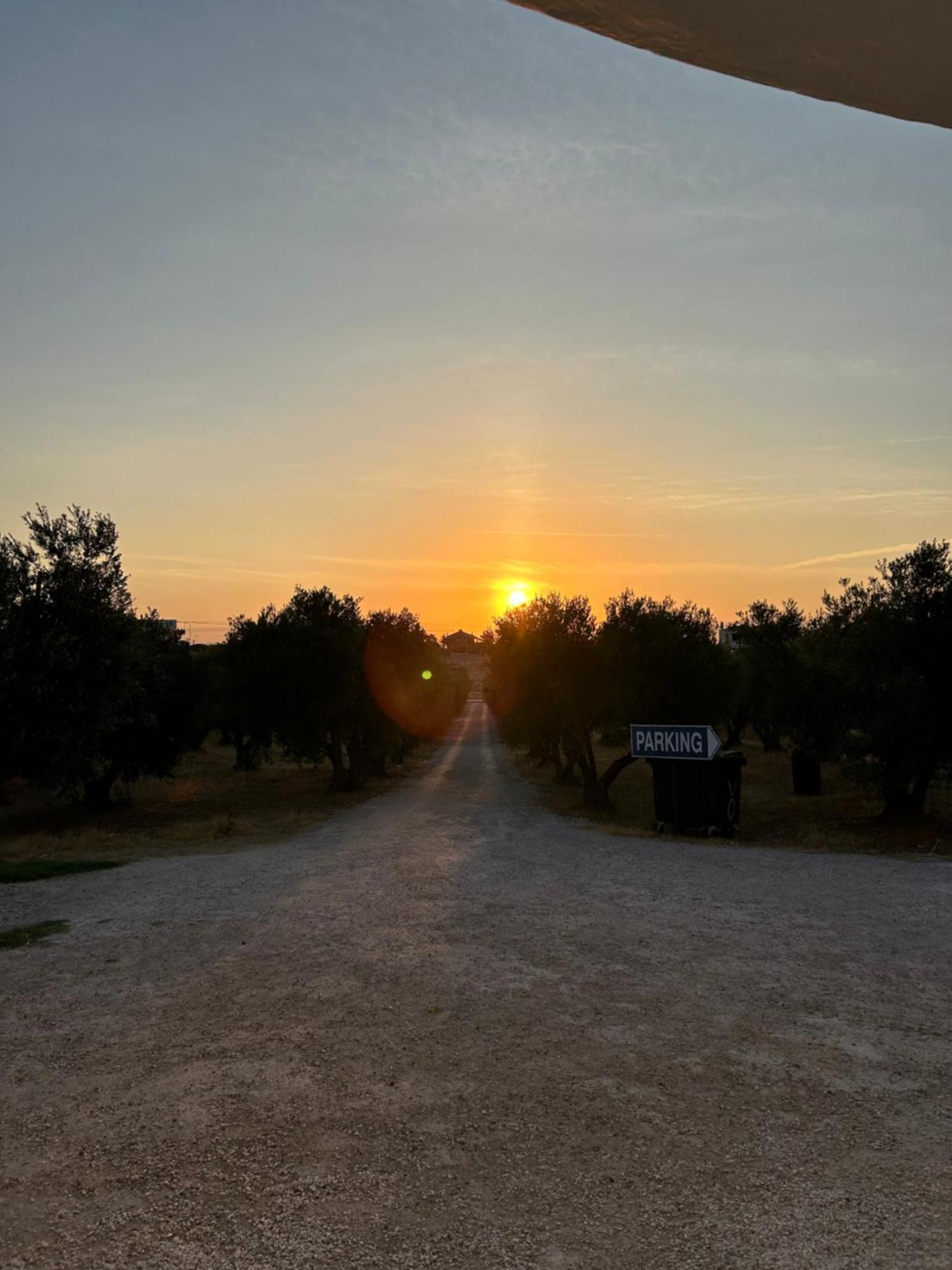 נאה פוטידאה Villa Olymp מראה חיצוני תמונה